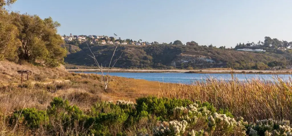 Carlsbad Lagoon San Diego | Kelli Miller Real Estate