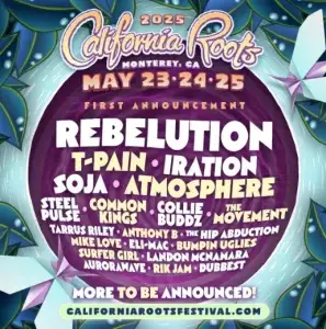 Kelli-Miller-Encinita-California-Roots-Music-and-Arts-Festival-Luxury-Real-Estate