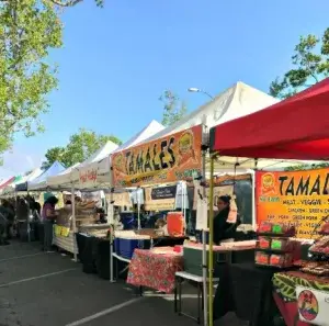 Kelli-Miller-Encinitas-Realtor-State-Street-Farmers-Market-Luxury-Real-Estate