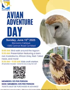 Kelli-Miller-Encinitas-Realtor-Avian-Adventure-Day-Luxury-Real-Estate-