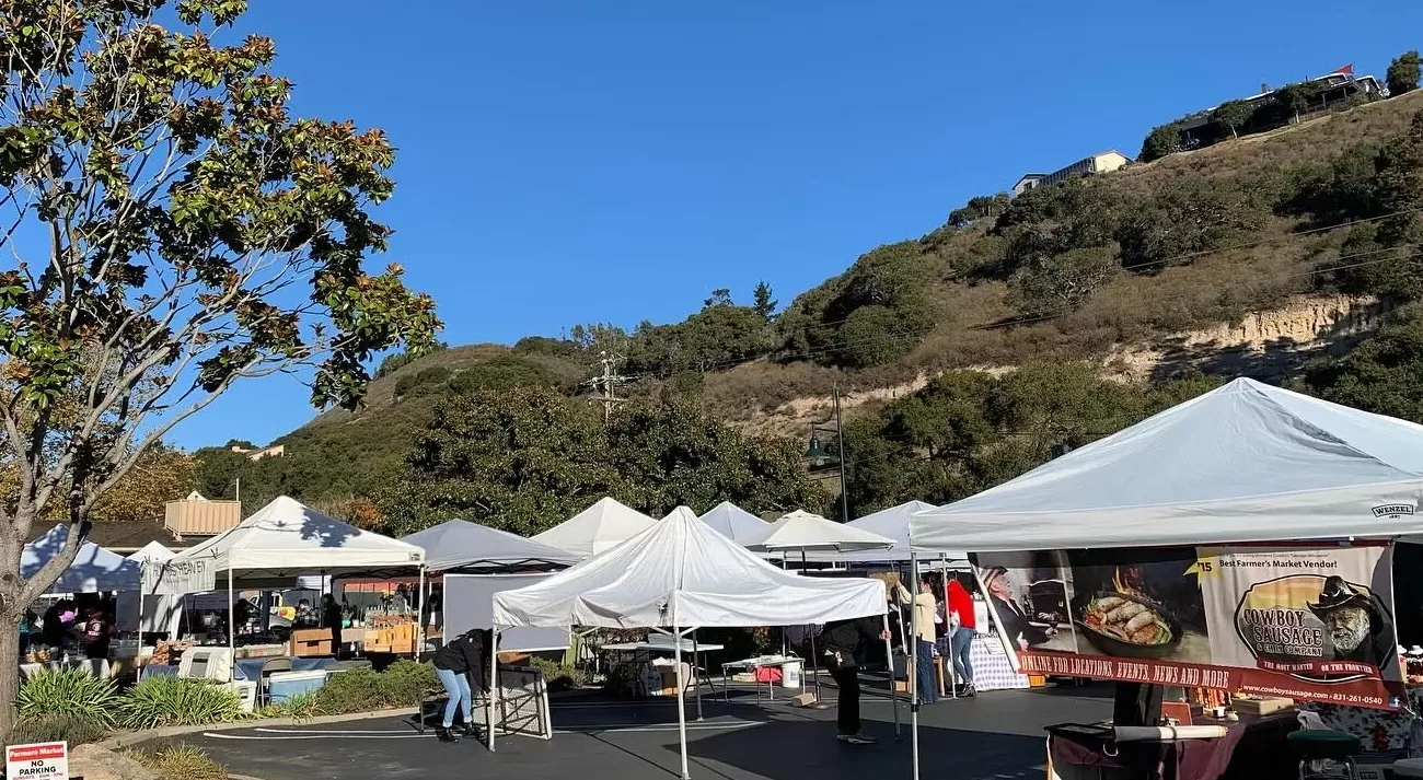 Farmers market and artisan fair in Carmel Valley