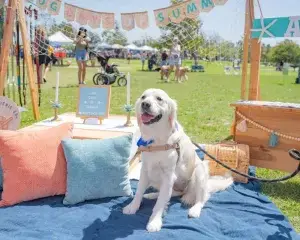 Kelli-Miller-Encinitas-Realtor-Encinitas-Cardiff-Dog-Days-of-Summer-Luxury-Real-Estate