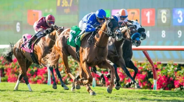 Kelli-Miller-Encinitas-Oceanside-Stakes-Summer-Racing-Series-Luxury-Real-Estate