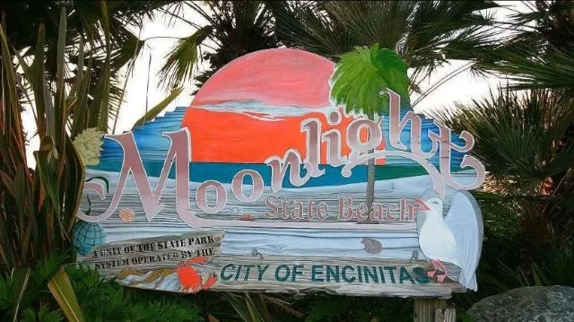 Kelli-Miller-Encinitas-Realtor-Encinitas-Events-July-2025-Luxury-Real-Estate