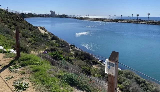 Kelli-Miller-Encinitas-Realtor-Summer-Speaker-Series-at-Agua-Hedionda-Lagoon-Luxury-Real-Estate