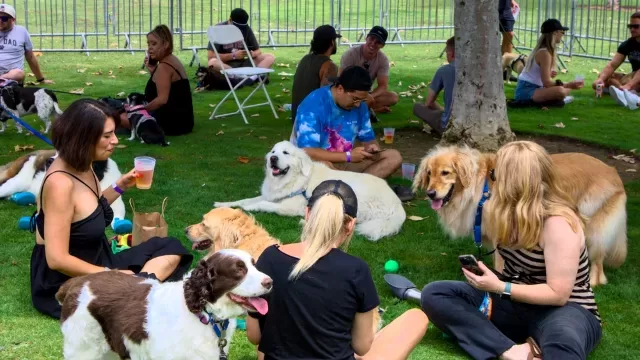 Kelli-Miller-Encinitas-Realtor-Cardiff-Dog-Days-of-Summer-Luxury-Real-Estate