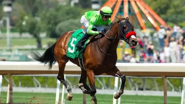 Kelli-Miller-Encinitas-Torrey-Pines-Stakes-Grade-III-Luxury-Real-Estate