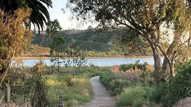 Kelli-Miller-Encinitas-Realtor-Batiquitos-Lagoon-Guided-Walks-Luxury-Real-Estate