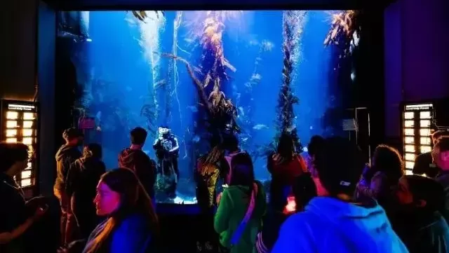 Kelli-Miller-Encinitas-Realtor-Birch-Aquarium-September-Nights-Luxury-Real-Estate