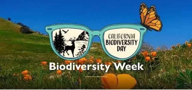 Kelli-Miller-Encinitas-Realtor-Biodiversity-Week-Bioblitz-at-Cardiff-State-Beach-Luxury-Real-Estate