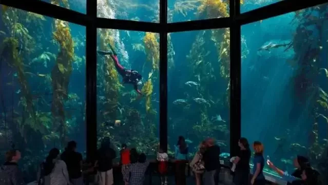 Kelli-Miller-Encinitas-Monterey-Bay-Aquariums-Feed-the-Ocean-Charity-Gala-Luxury-Real-Estate