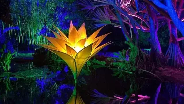 Kelli-Miller-Encinitas-Realtor-Lightscape-at-San-Diego-Botanic-Garden-An-Enchanting-Evening-Luxury-Real-Estate