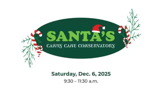 Kelli-Miller-Encinitas-Realtor-Santas-Candy-Cane-Conservatory-Family-Photos-with-Santa-Luxury-Real-Estate