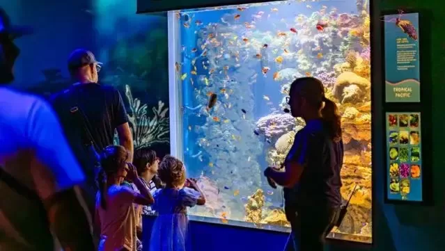 Kelli-Miller-Encinitas-Realtor-Birch-Aquarium-Winter-Programs-Educational-Talks-Luxury-Real-Estate