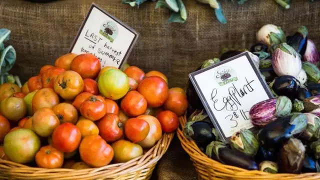 Kelli-Miller-Encinitas-Realtor-Cardiff-Farmers-Market-Winter-Saturdays-Luxury-Real-Estat