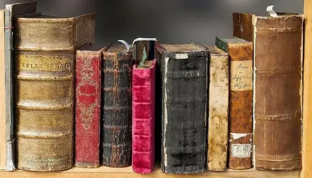 Kelli-Miller-Encinitas-Realtor-Cardiff-by-the-Sea-Library-Book-Club-January-Programs-Luxury-Real-Estate